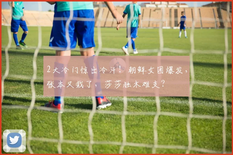 2大冷门惊出冷汗！朝鲜女团爆发，张本又栽了，莎莎独木难支？